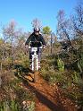 greoux (33)
